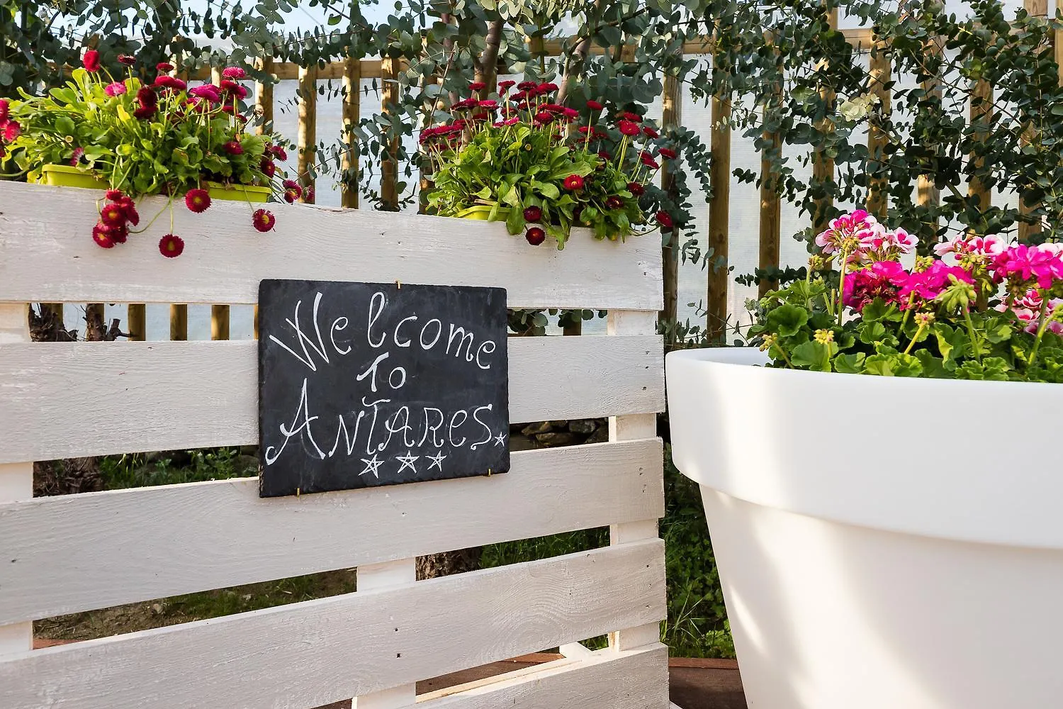 Bubble Antares Hotel Badalucco Luxury tent